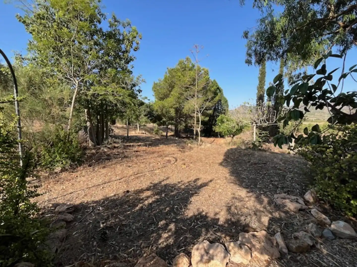 Casa o chalet en venta en Centro