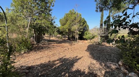 Foto 5 de Casa o chalet en venta en Centro, Fuente Álamo de Murcia