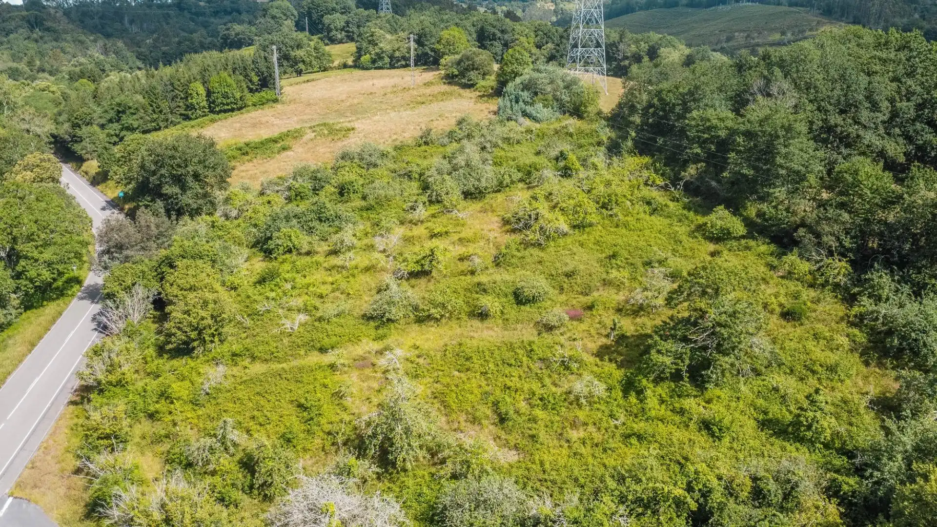 Rural land for sale in del pareo, imagen 13