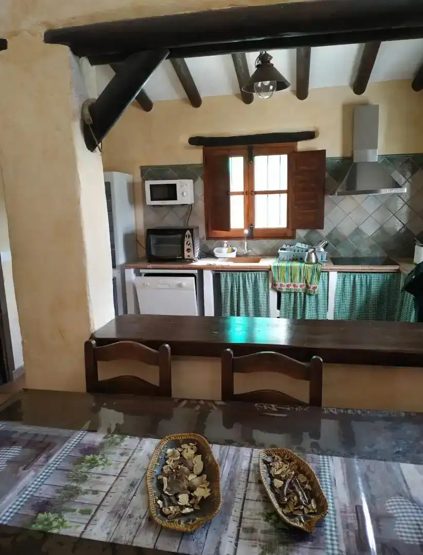 Cuina de Casa o xalet de lloguer en Sedella amb Jardí privat, Traster i Piscina