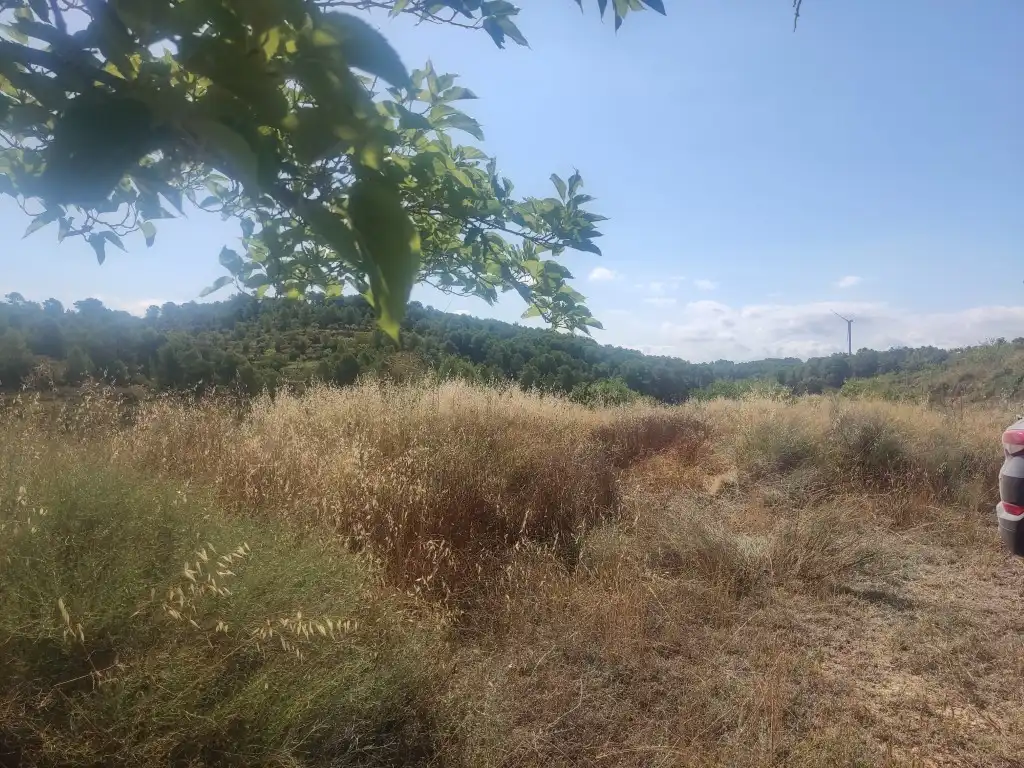 Rural land for sale in Gandesa, imagen 17