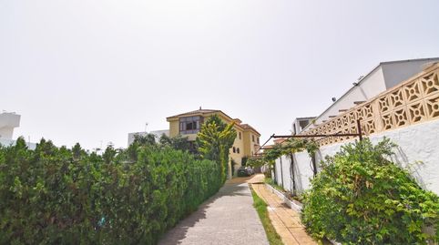 Foto 3 de Casa o chalet en venta en Carretera Cambalud, Firgas, Las Palmas