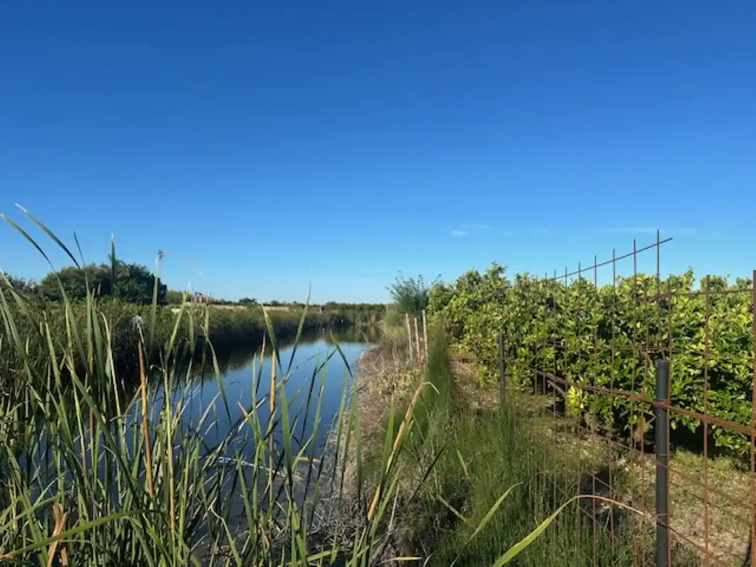 Terreno en venta en Xeresa