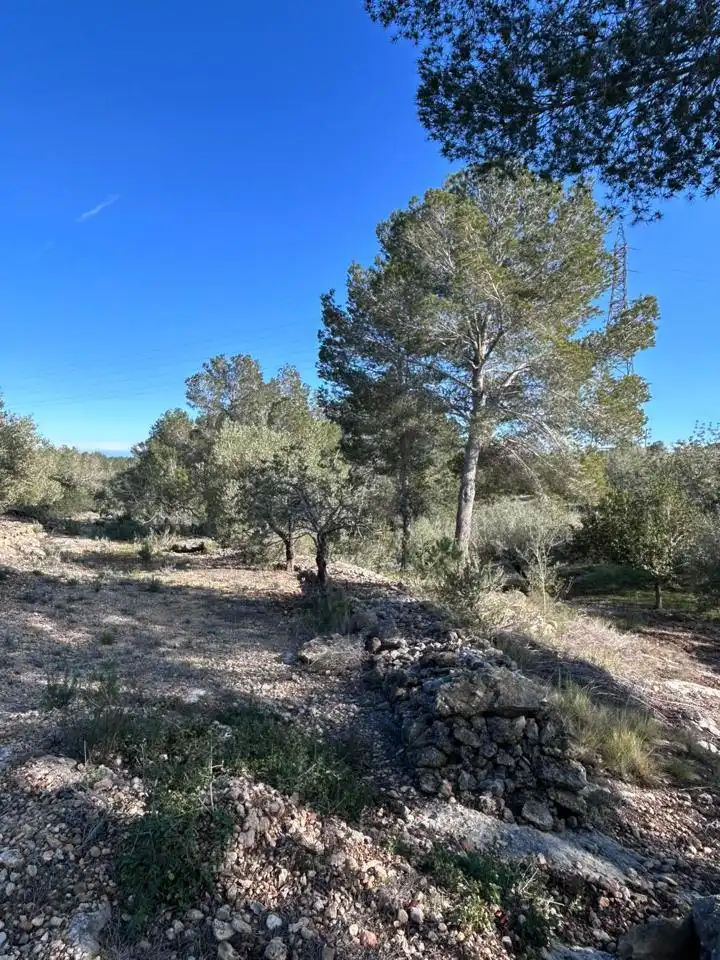 Landhaus zum Verkauf in Partida Serramoca, imagen 18