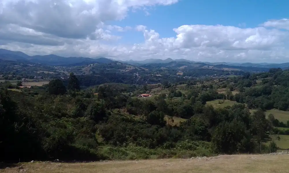 Terrenys i solars en venda a Escamplero, Polígono 41. Parcela 320 1, imagen 11