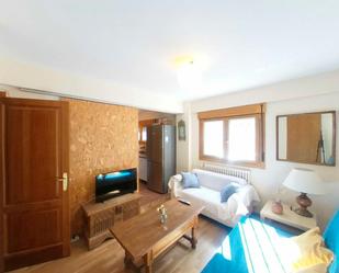 Living room of Flat to rent in  Madrid Capital  with Heating, Private garden and Furnished