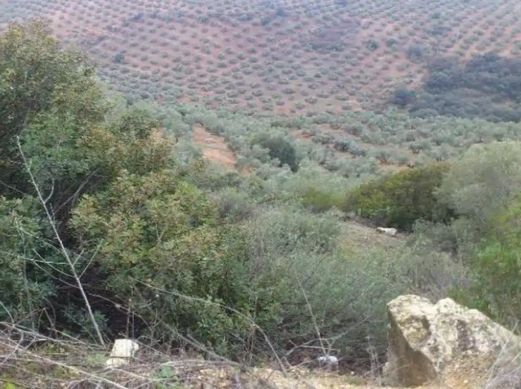 Terreni e lotti in vendita a DISEMINADO SEGURA DE LA SIERRA, imagen 3
