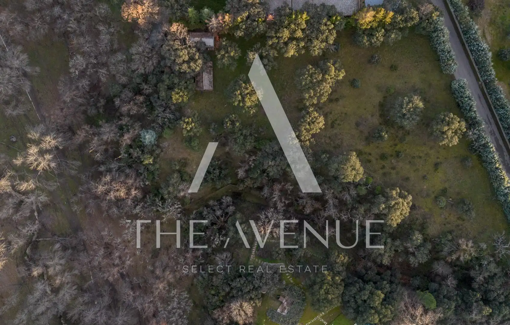 Residential land for sale in Calle Enebros, imagen 21