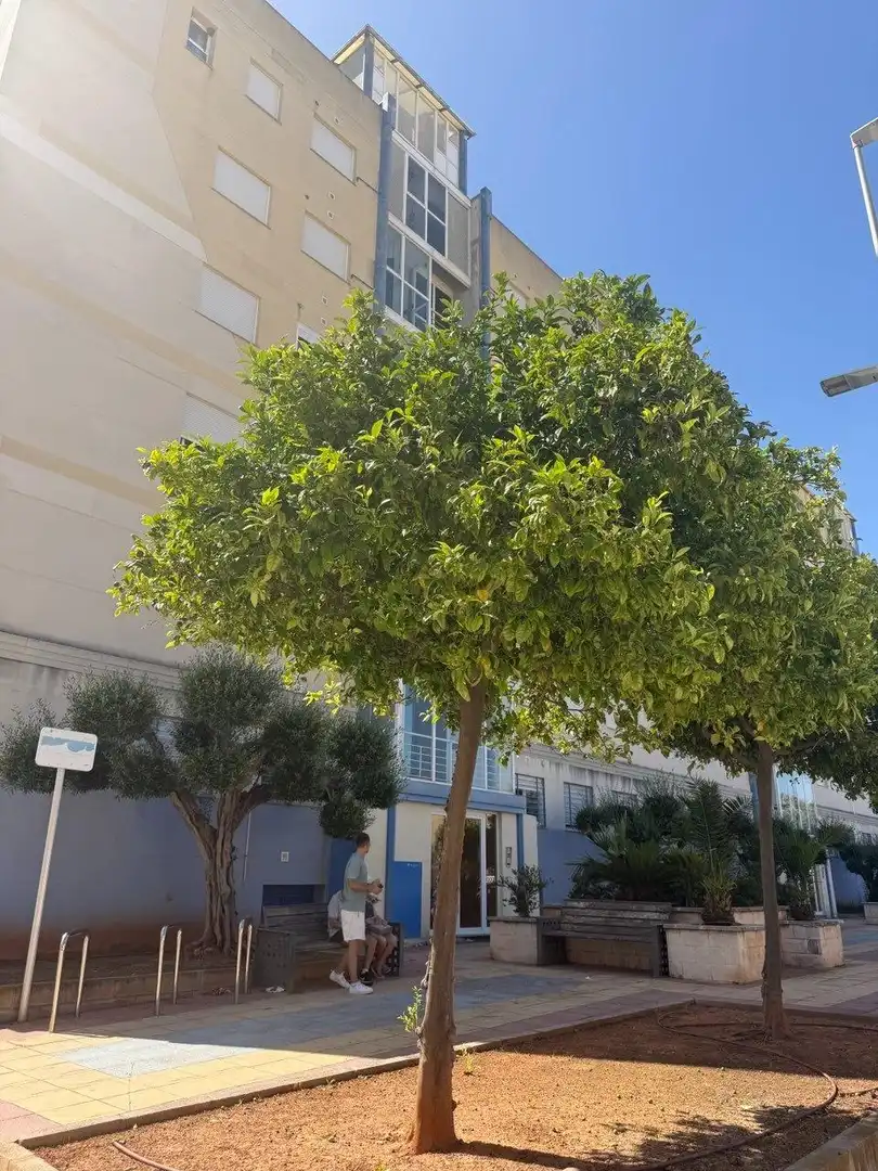Vista exterior de Pis en venda en Chilches / Xilxes amb Aire condicionat, Jardí privat i Terrassa