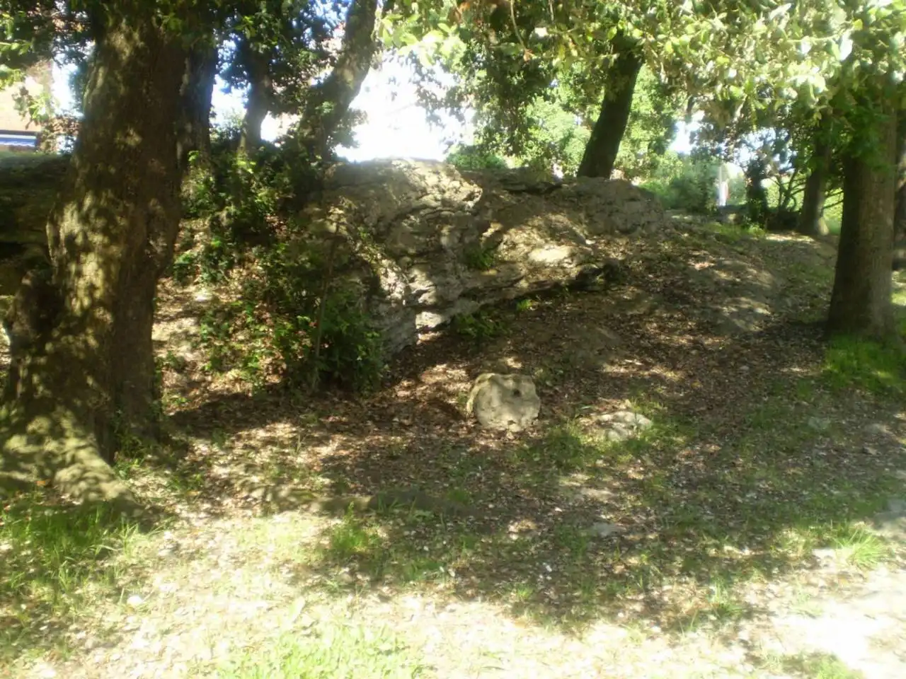 Dachboden zur Miete in Noja mit Heizung, Terrasse und Möbliert