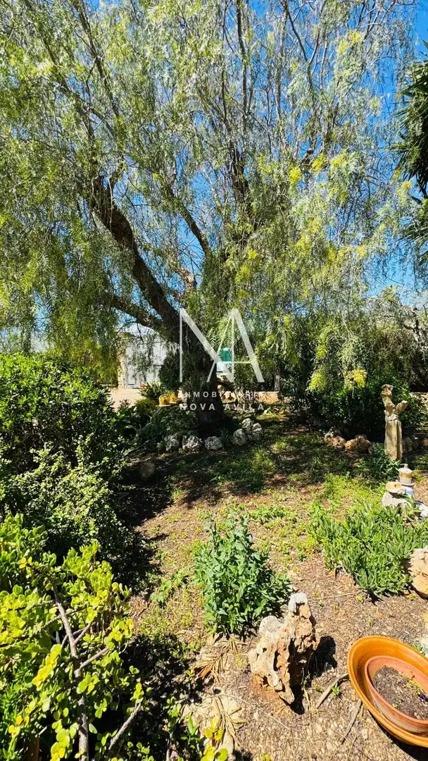 Finca rústica en venda a Cristo Rey - Parque Europa