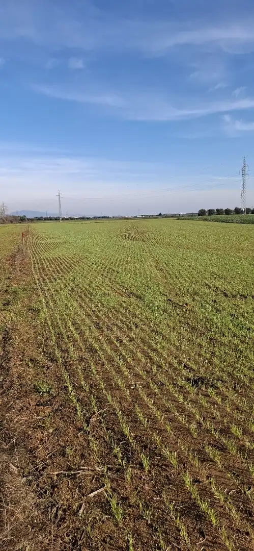 Terreno en venta en Vilafant