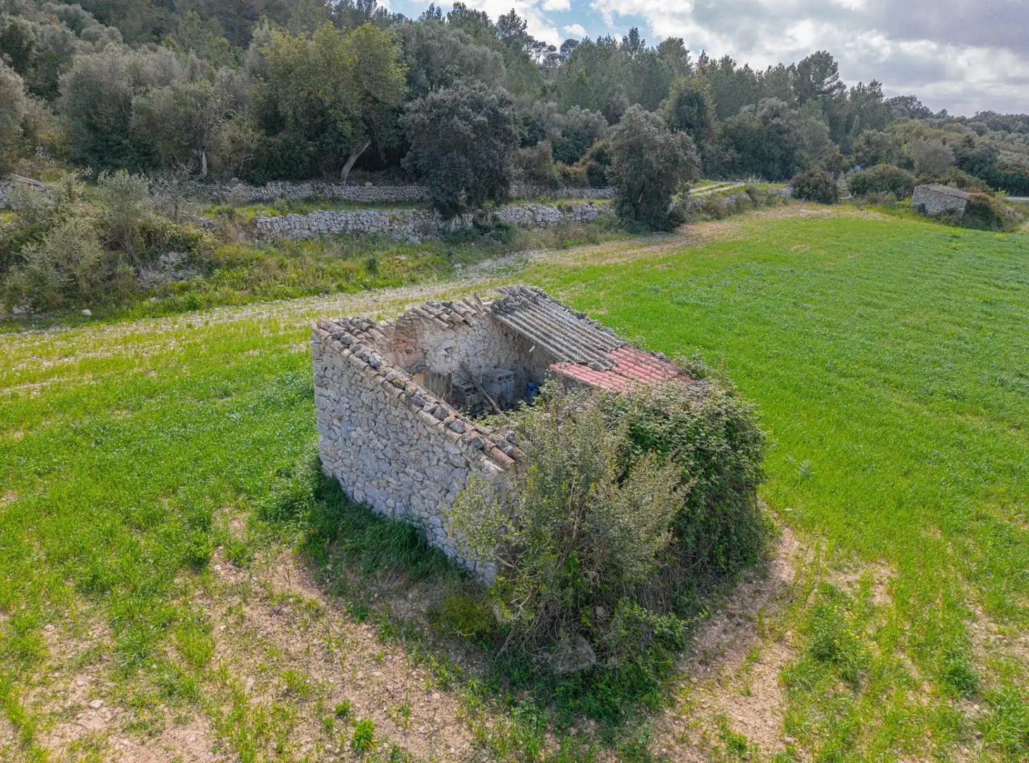 Terreny rústic en venda a Llubí, imagen 14