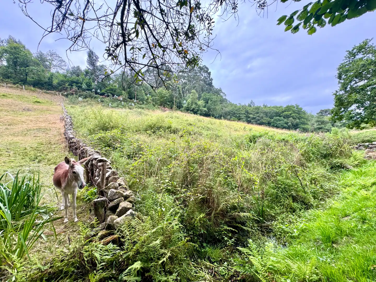 Terreno en venta en Villaviciosa
