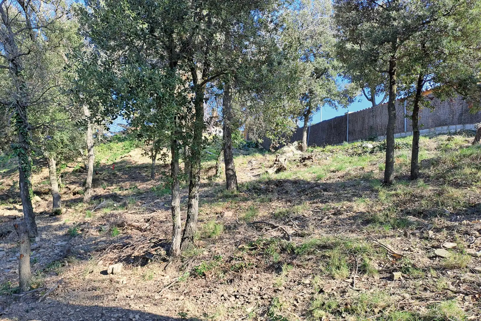 Lands and plots for sale in CANIGO, imagen 8