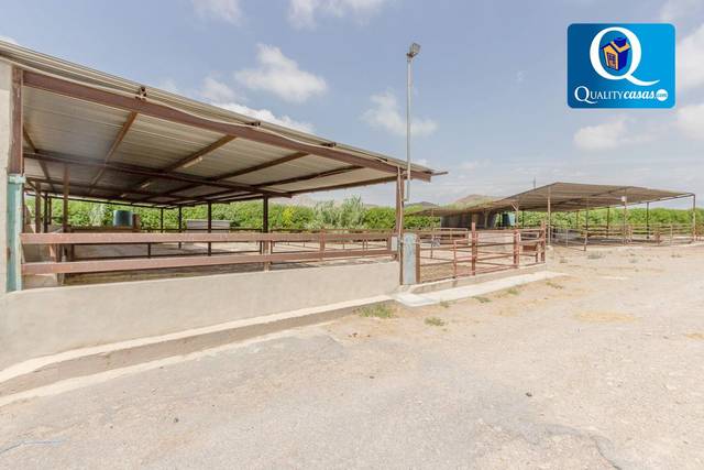 Casa-chalet en Venta en Cañada del Fenollar