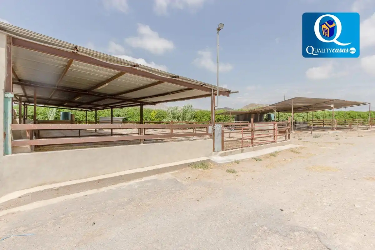 Chalet en venta en Partidas de Alicante, imagen 41