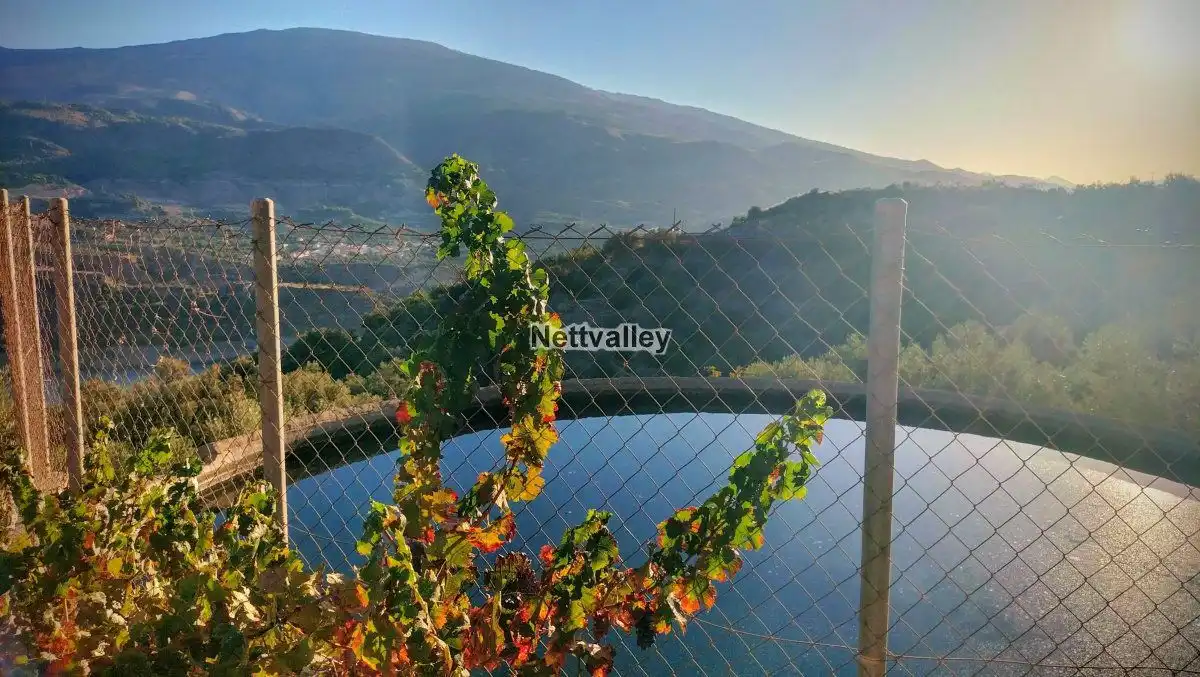 Terreni e lotti in vendita a FUENTE DEL OLIVO, imagen 4