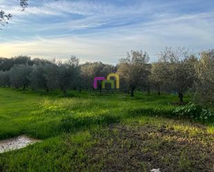 Finca rústica en venda en Badajoz Capital amb Calefacció, Jardí privat i Terrassa