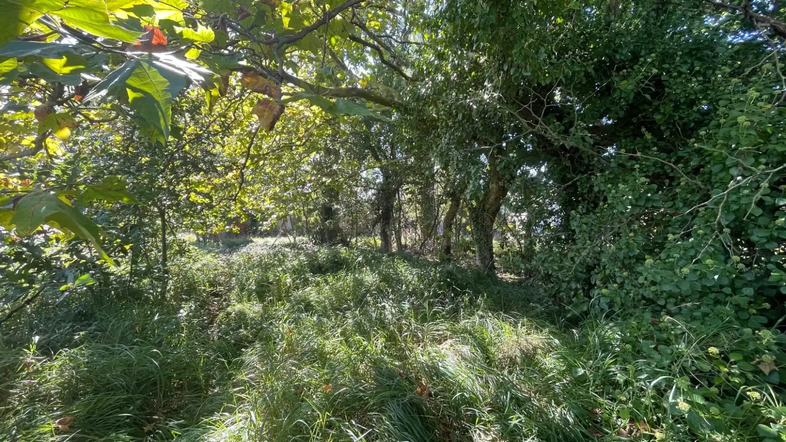 Casa o chalet en venta en Gozón