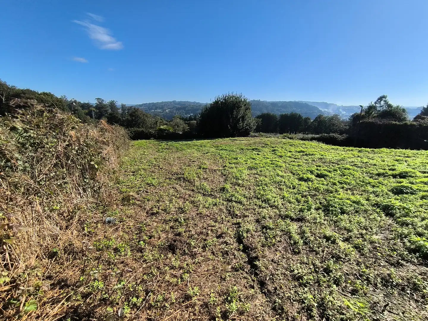 Terreno residencial en venta en Bergondo, imagen 5