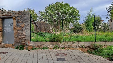 PARCELLA  BERGA SANT FRANCESC, immagine 4