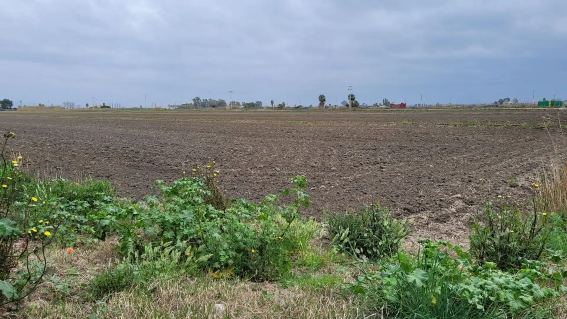 Country homes for sale in La Ràpita