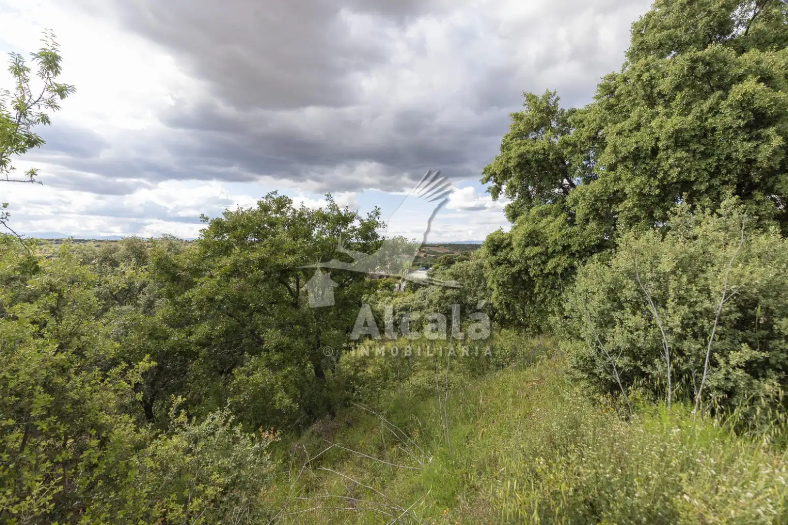 Terreno residencial en venta en Valdeaveruelo, imagen 13