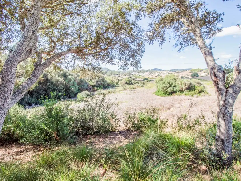 Finca rústica en venda en Es Mercadal amb Jardí privat