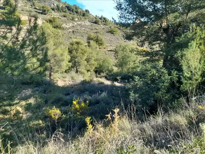 Grundstücke und Bauplätze zum Verkauf in L'Alcora, imagen 6