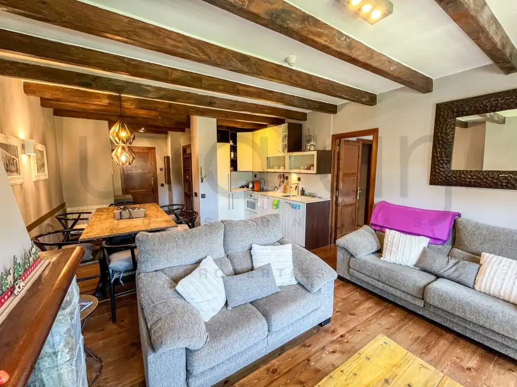 Sala d'estar de Apartament en venda en Naut Aran