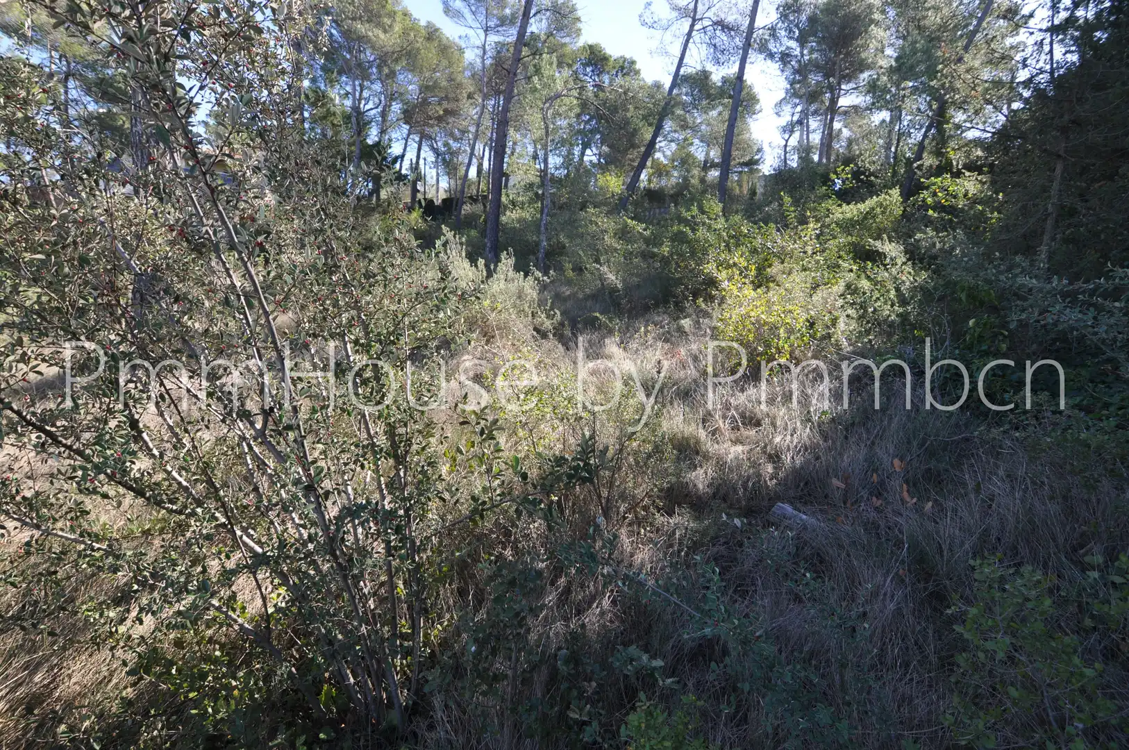 Residencial en venta en Mediona