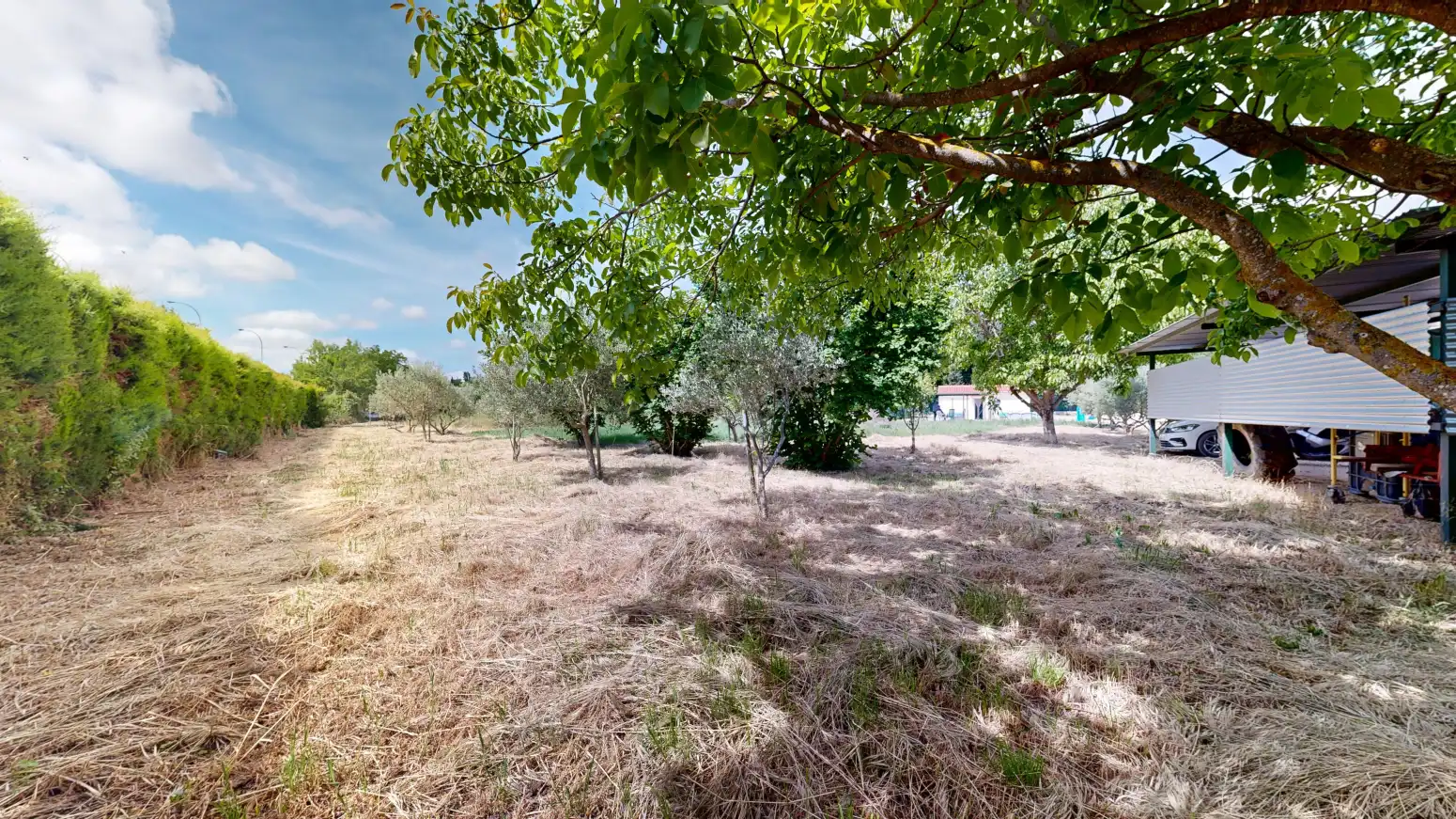 Rural land for sale in Tafalla - PARAJE LA RECUEJA, imagen 67