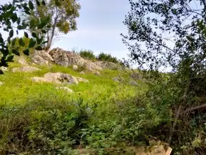 Terrain résidentiel à vendre à Aldea Bones, imagen 17
