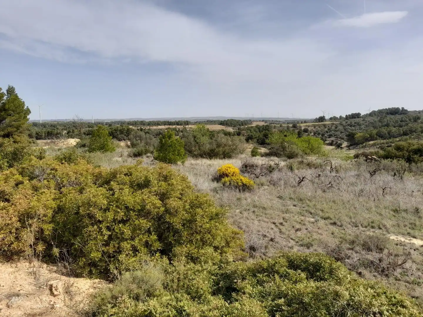 Casa o chalet en venta en Batea con Trastero y Amueblado