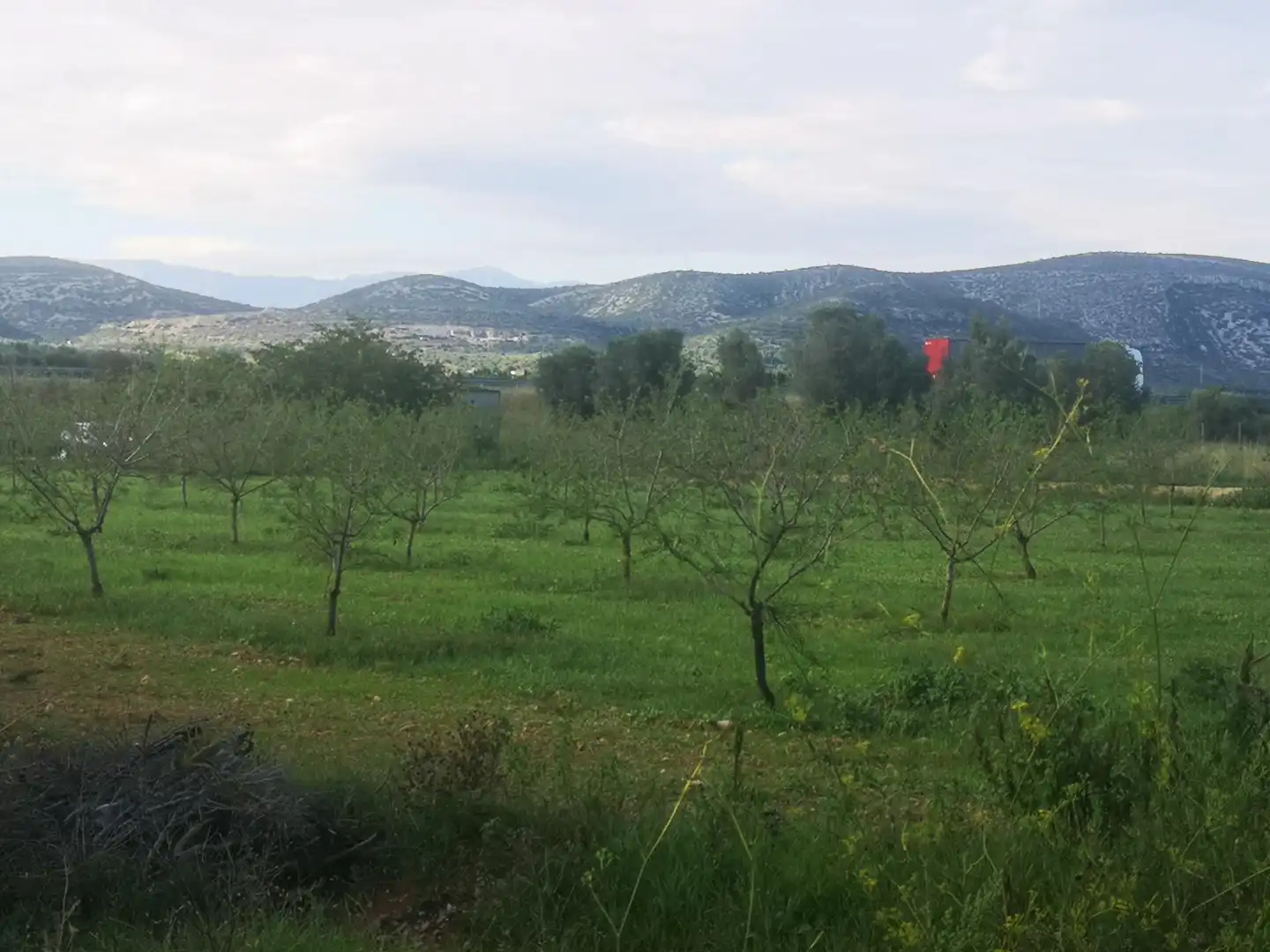 Terreno rustico in vendita a Ulldecona, imagen 28