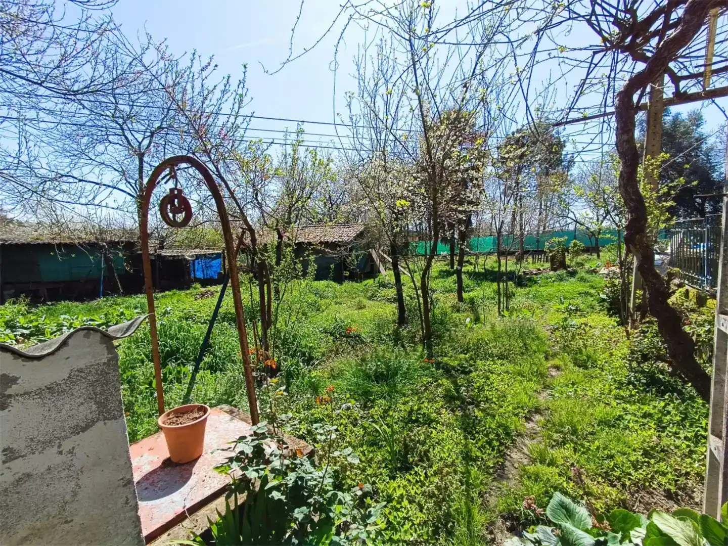 Casa o xalet en venda en O Carballiño   amb Balcó