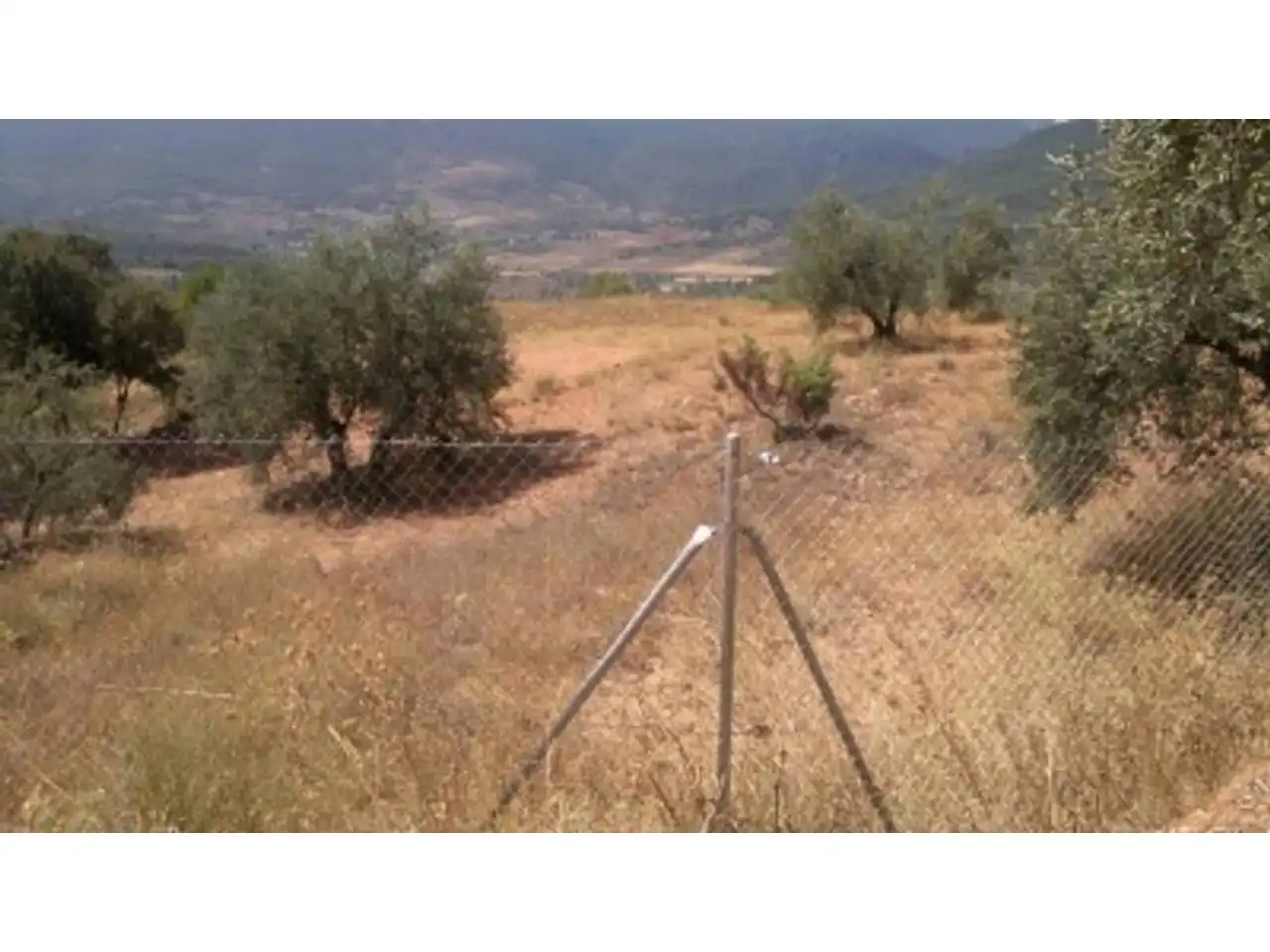Terreno rustico in vendita a Bogarra