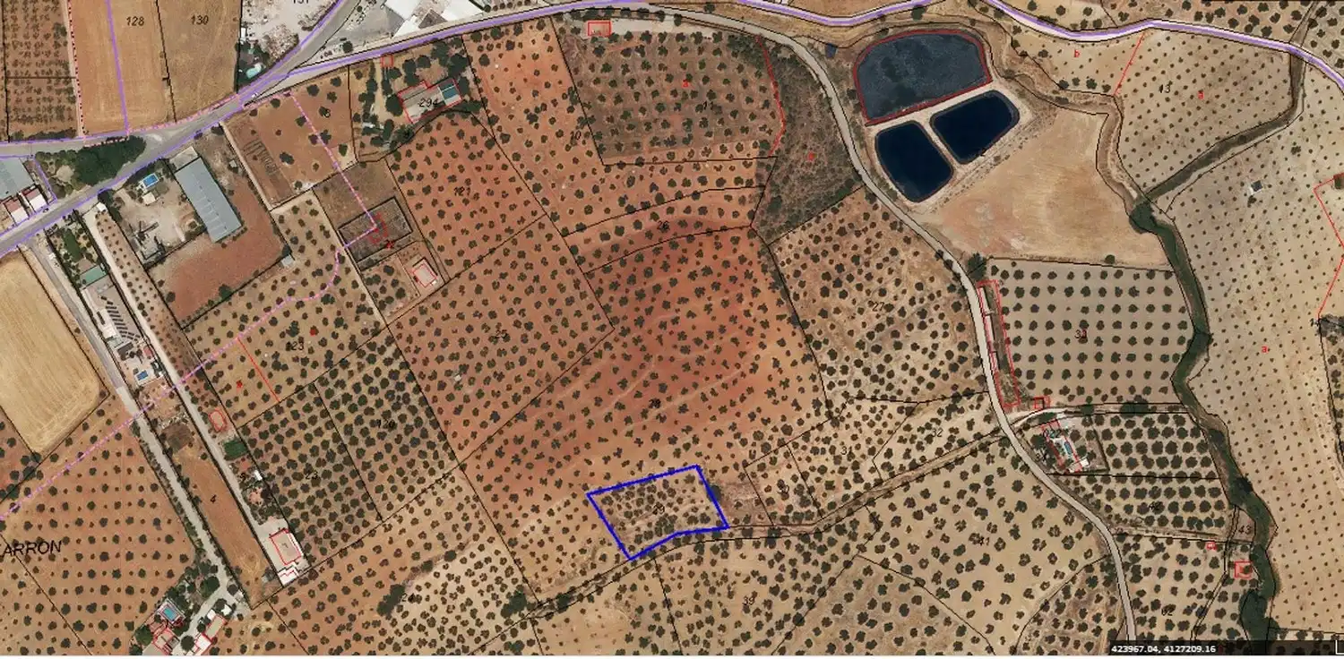 Rustikales Grundstück zum Verkauf in Calle Pilar Alto 20, imagen 5