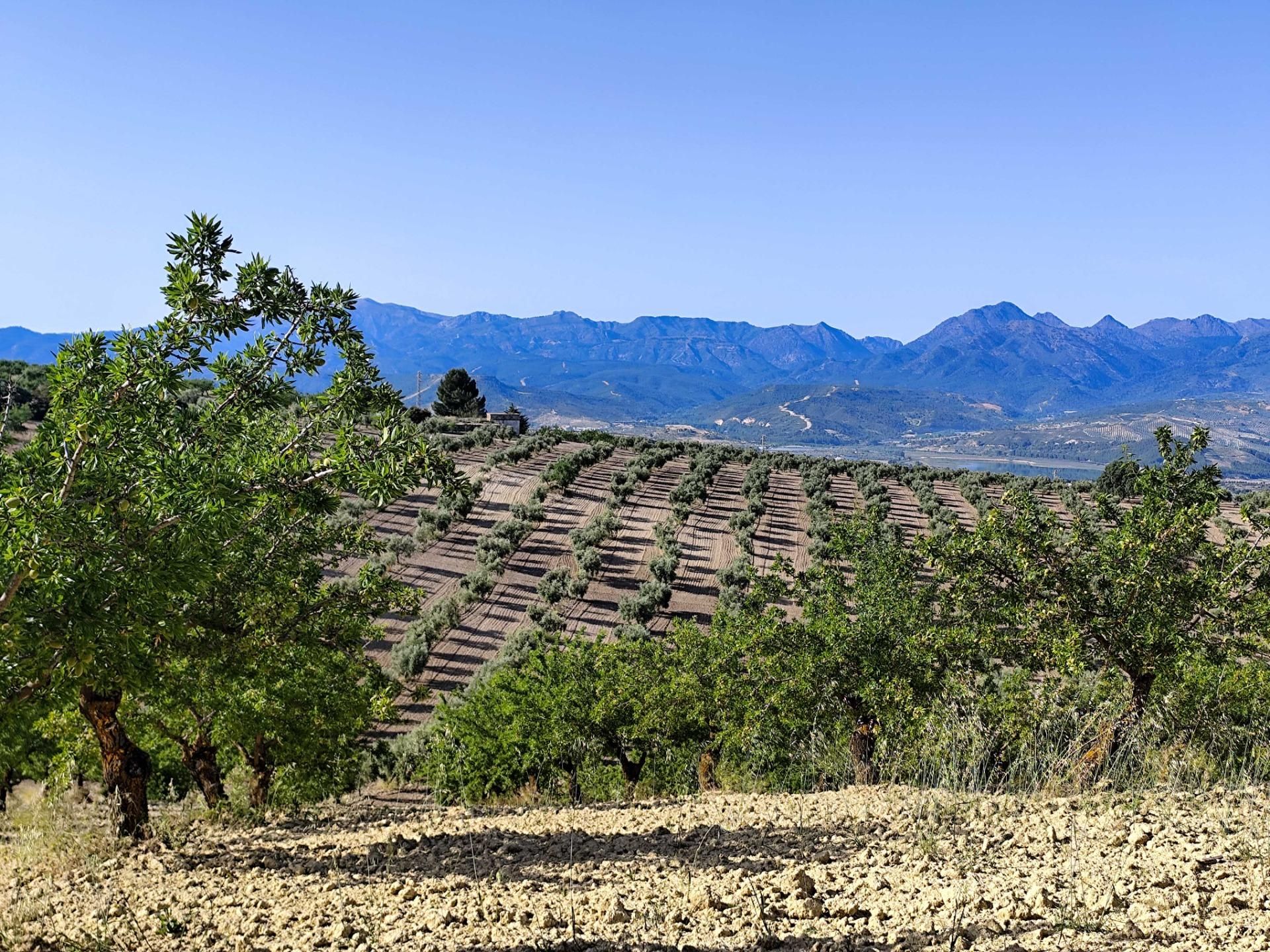 Vista exterior de Terreno en venta en Cacín