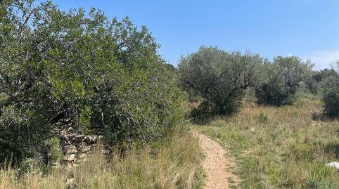 Foto 2 de Residencial en venta en Poble, Mont-roig del Camp