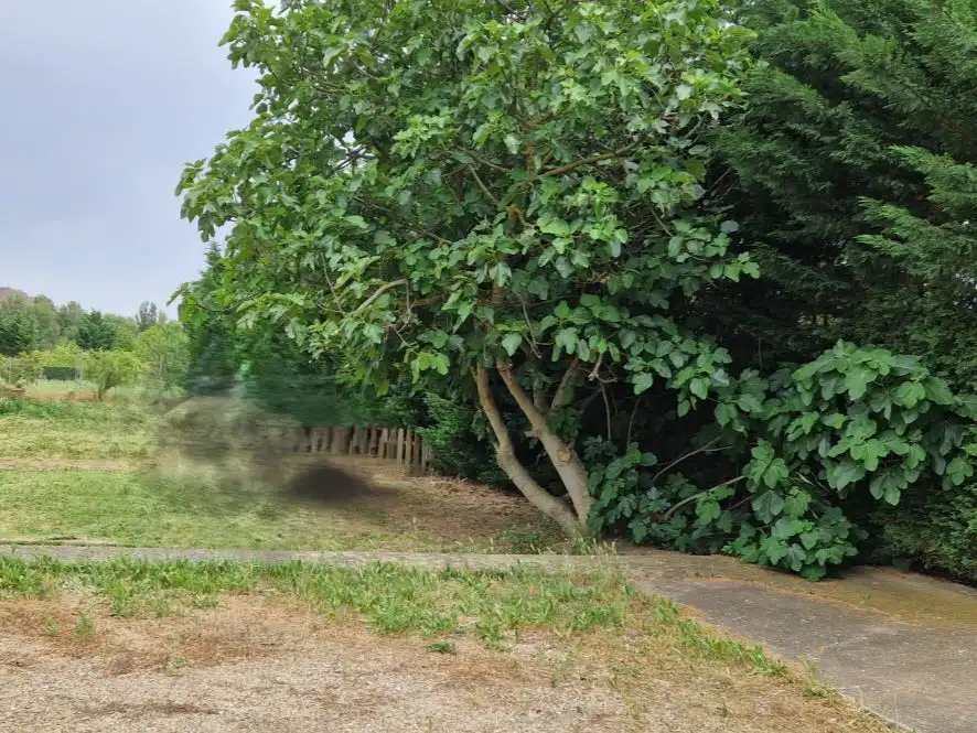 Land for sale in Quel