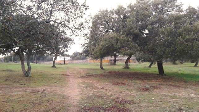 Residential for sale in Chiclana de la Frontera