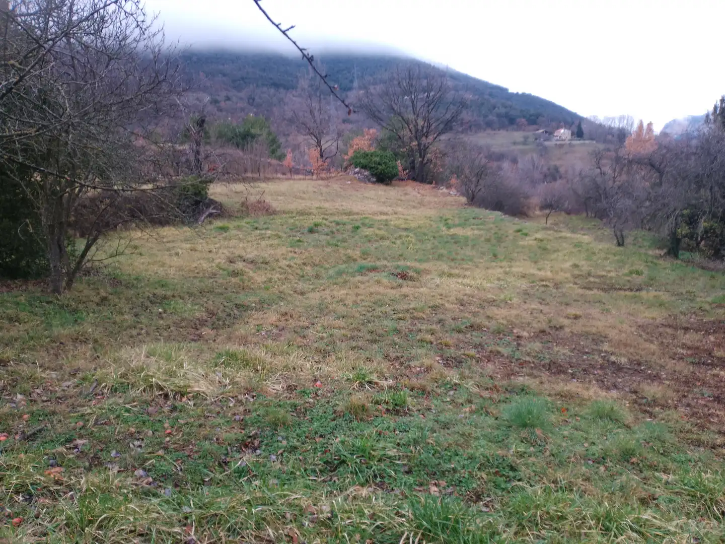 Terreny rústic en venda a La Nou de Berguedà, imagen 4