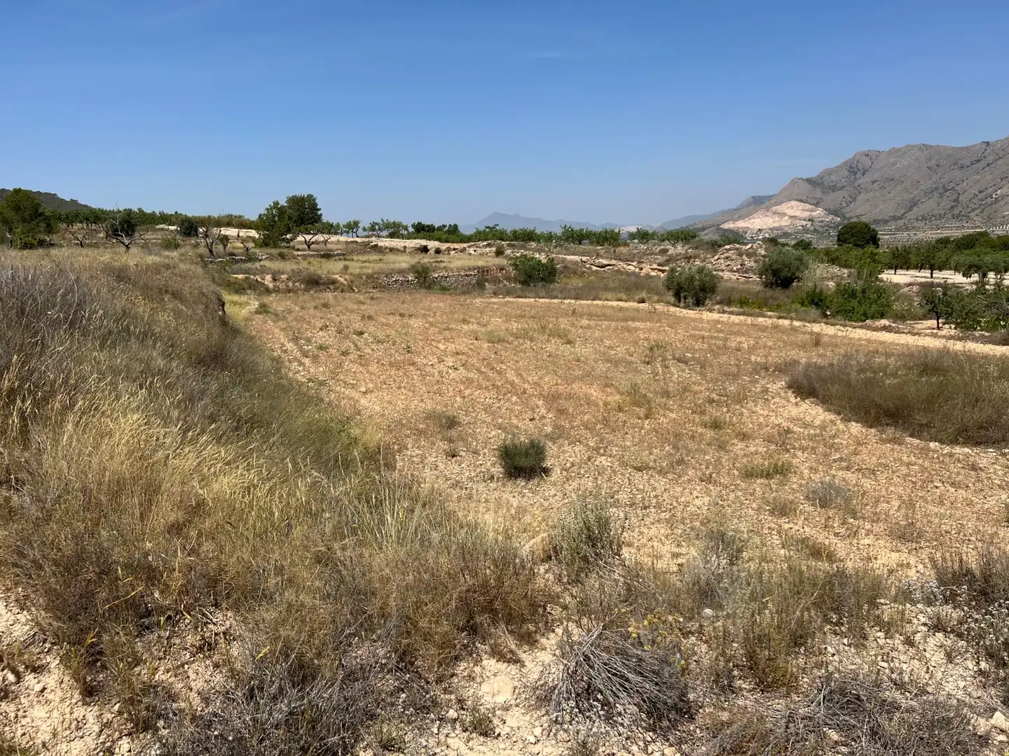Terreny residencial en venda a La Murada - Los Vicentes, imagen 4