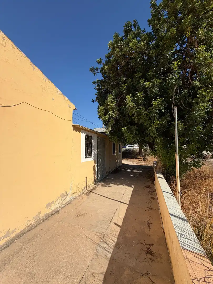 Vista exterior de Finca rústica en venta en Campo Alto - Club de Campo  