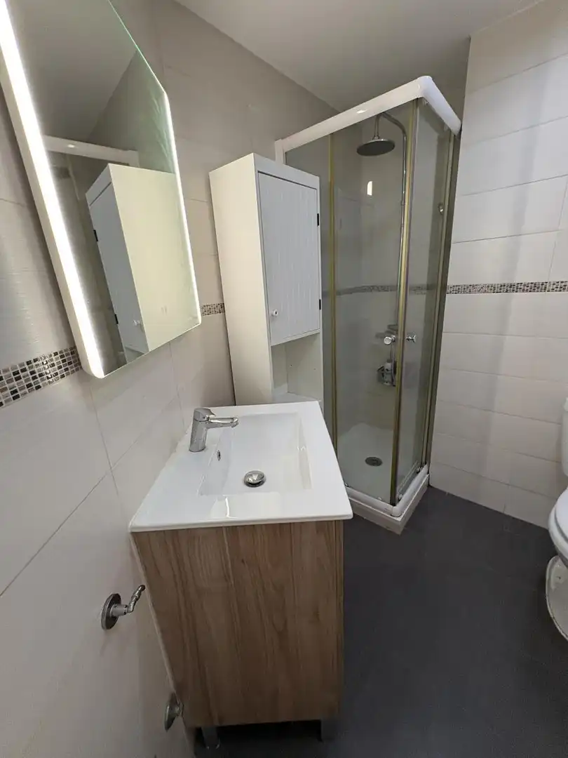 Bathroom of Flat for rent in Madrid  with Air Conditioner, Heating and Furnished