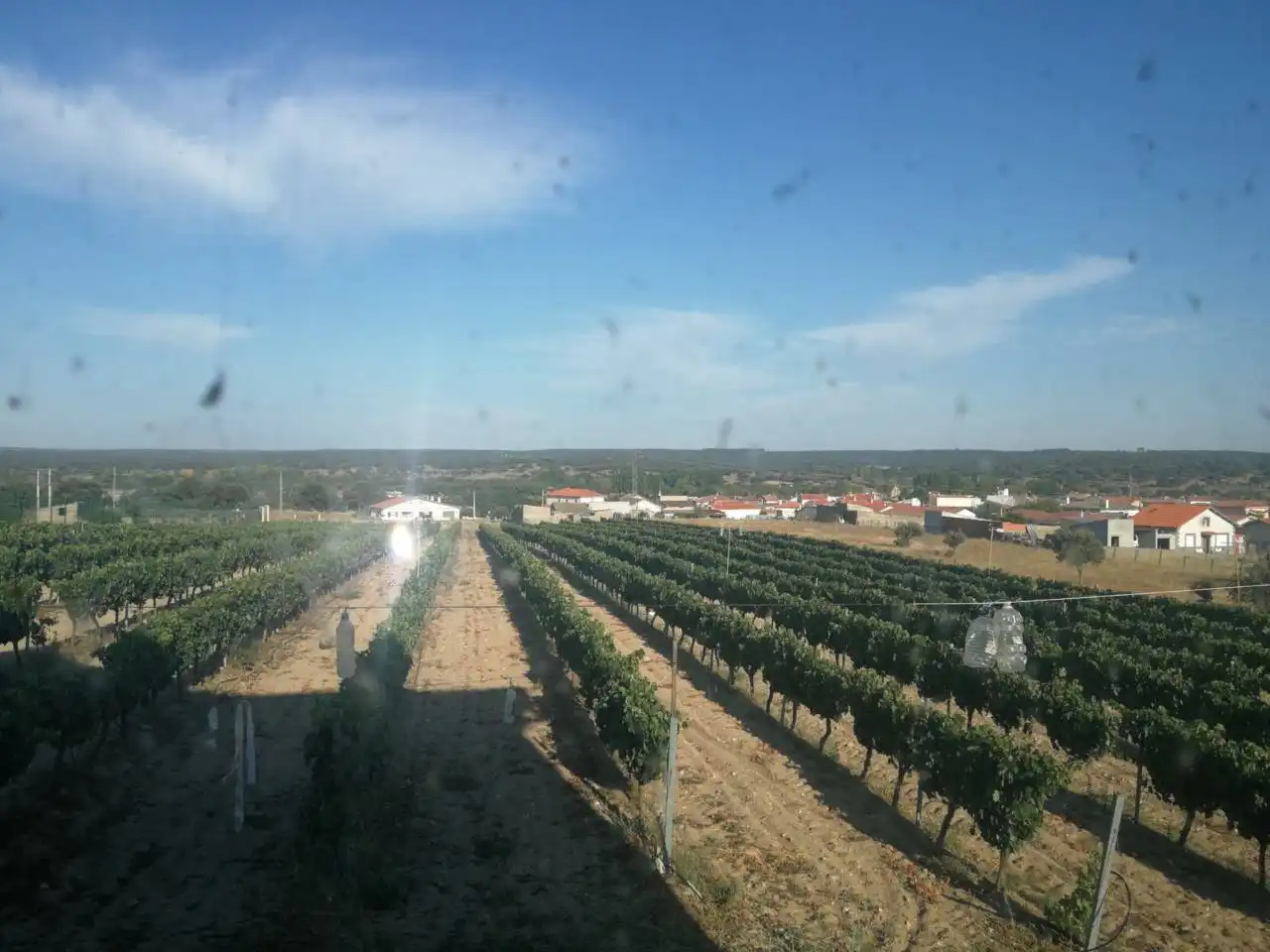 Finca rústica en venta en Puebla de Azaba
