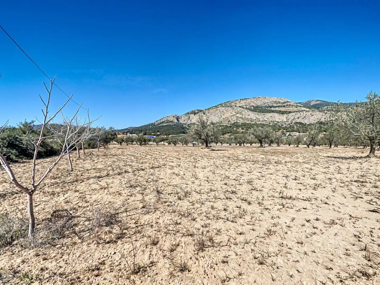 Land for sale in Castalla