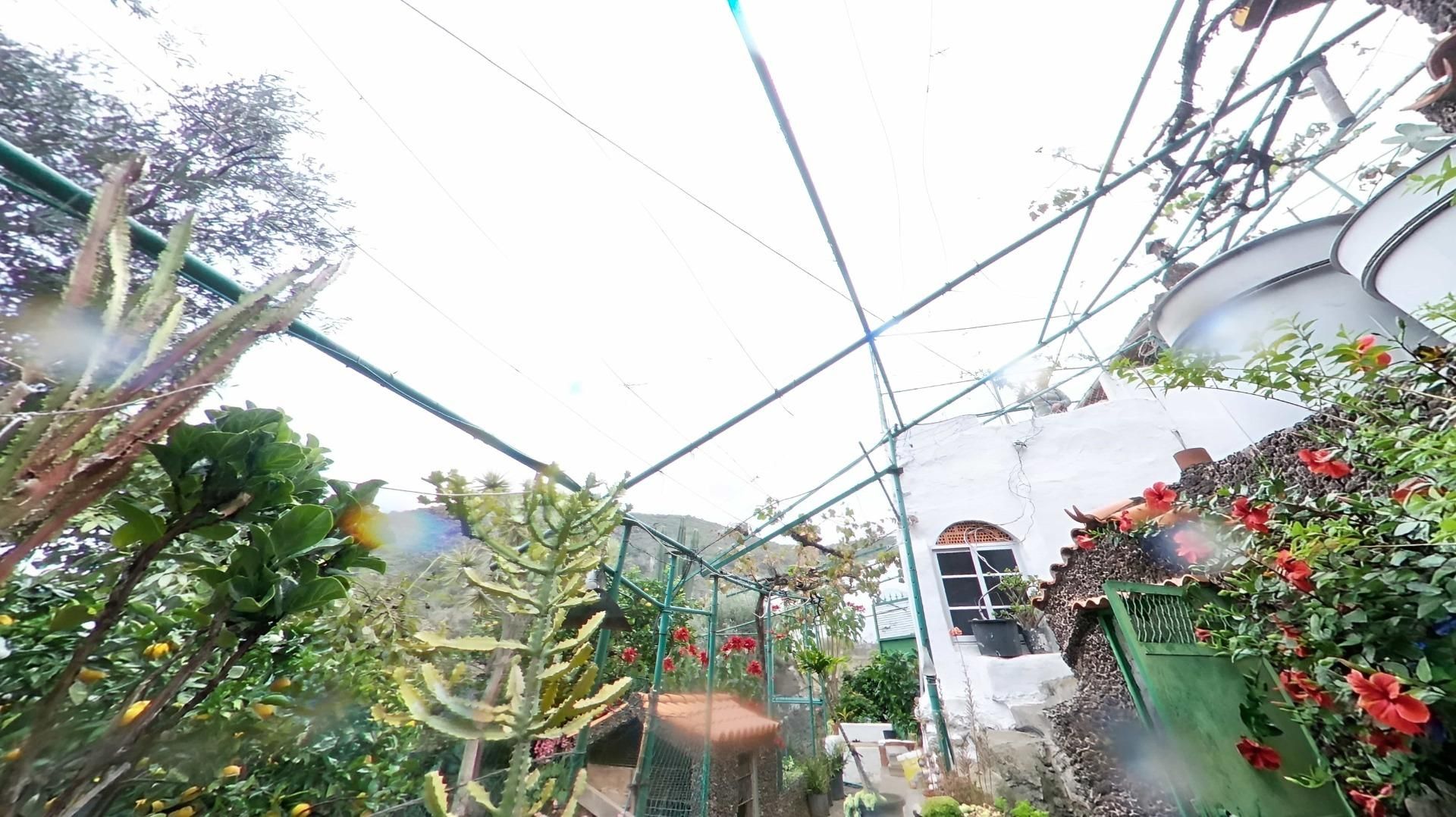 Jardí de Finca rústica en venda en Telde